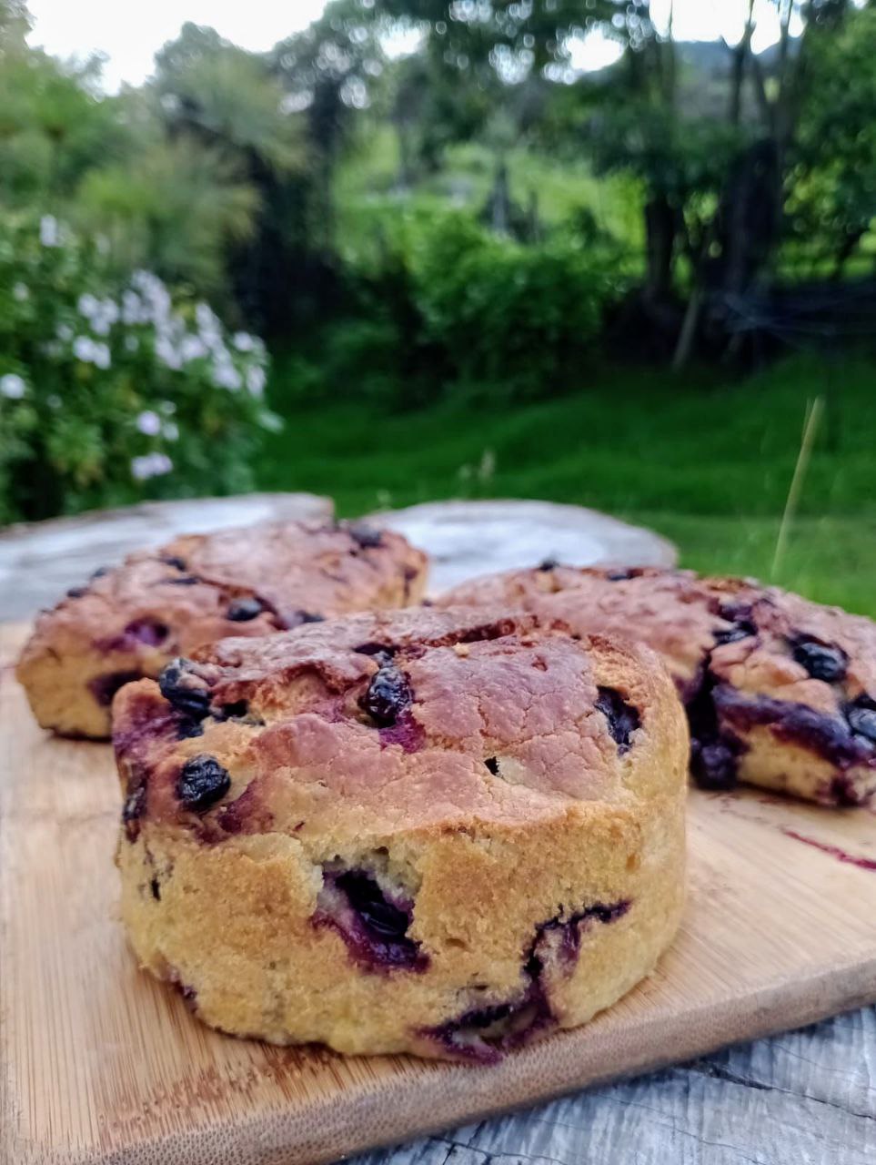 Torta de Arándanos (4 personas)