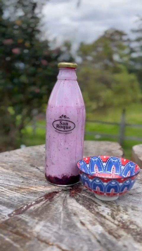 Yogur de Arándanos